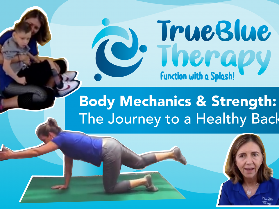 Body Mechanics and Strength Livestream